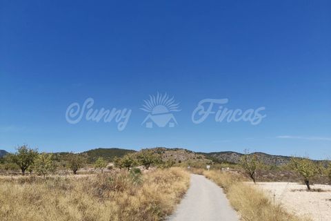 Helårsgrund i Raspay, Murcia, Raspay - € 22.900 | Ref: SF0356 - foto 5